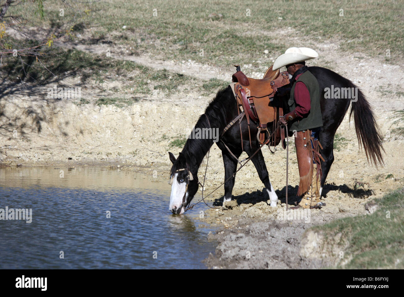 An African American cowboy watering his horse in a reservoir Stock