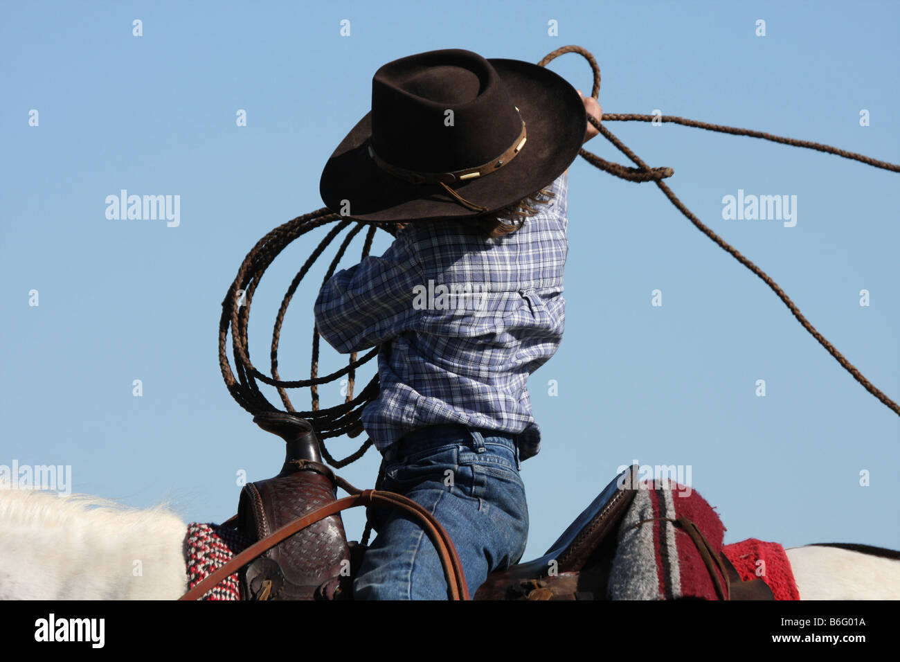 Throw Lasso Stock Photos & Throw Lasso Stock Images Alamy