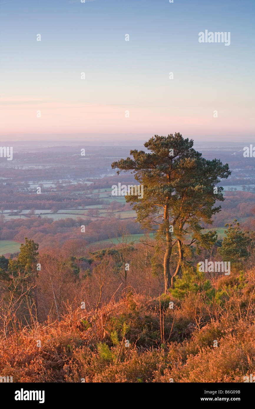 Early morning [view from Leith Hill] [North Downs] [Surrey Hills] Surrey Stock Photo Alamy