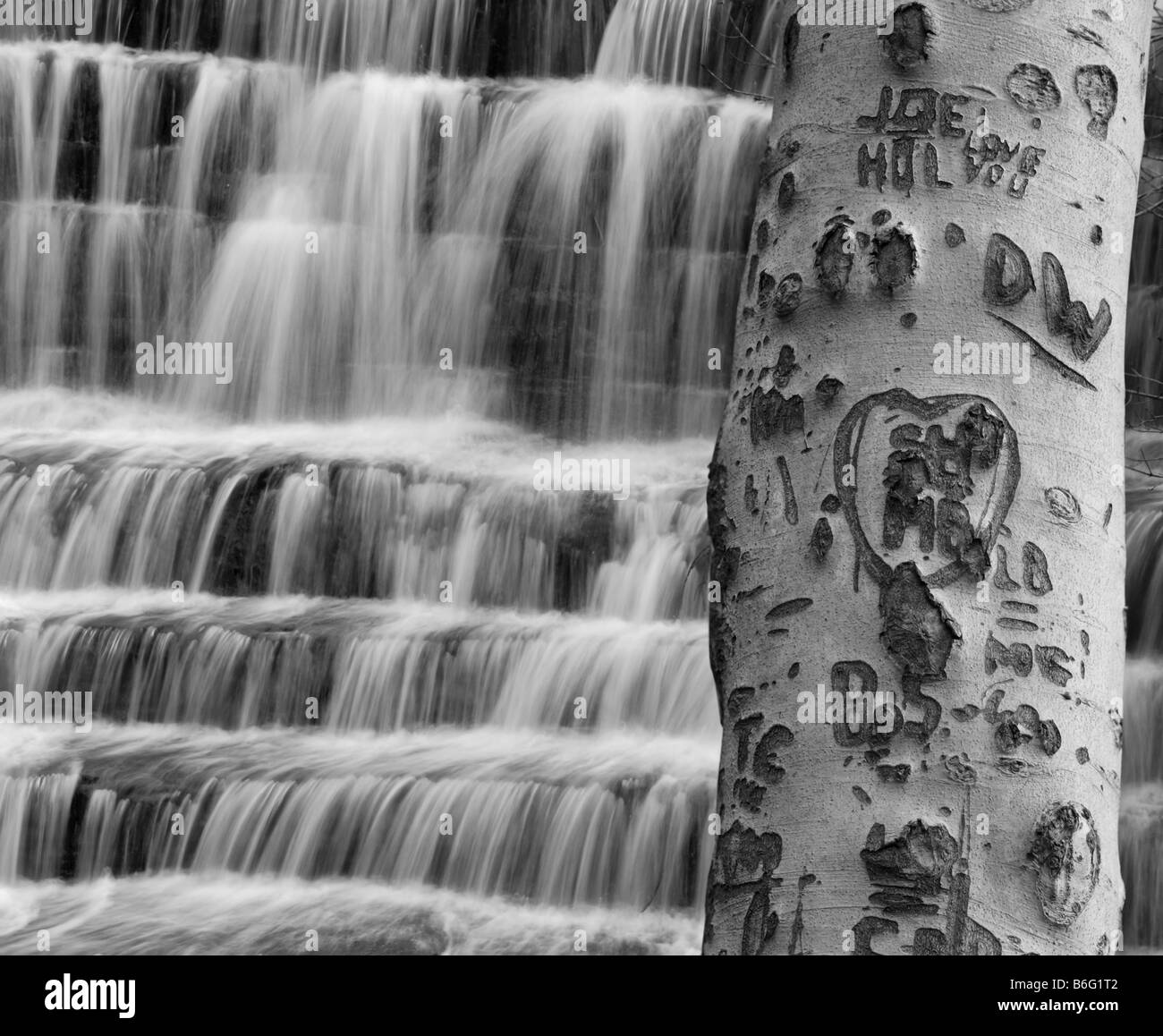 Tree with carved initials and waterfall Stock Photo