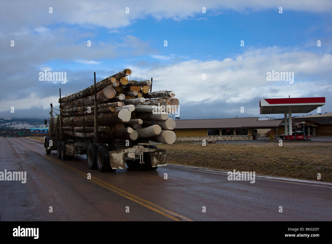 Lumber truck carries a load of timber logs to a mill in rural Greenough