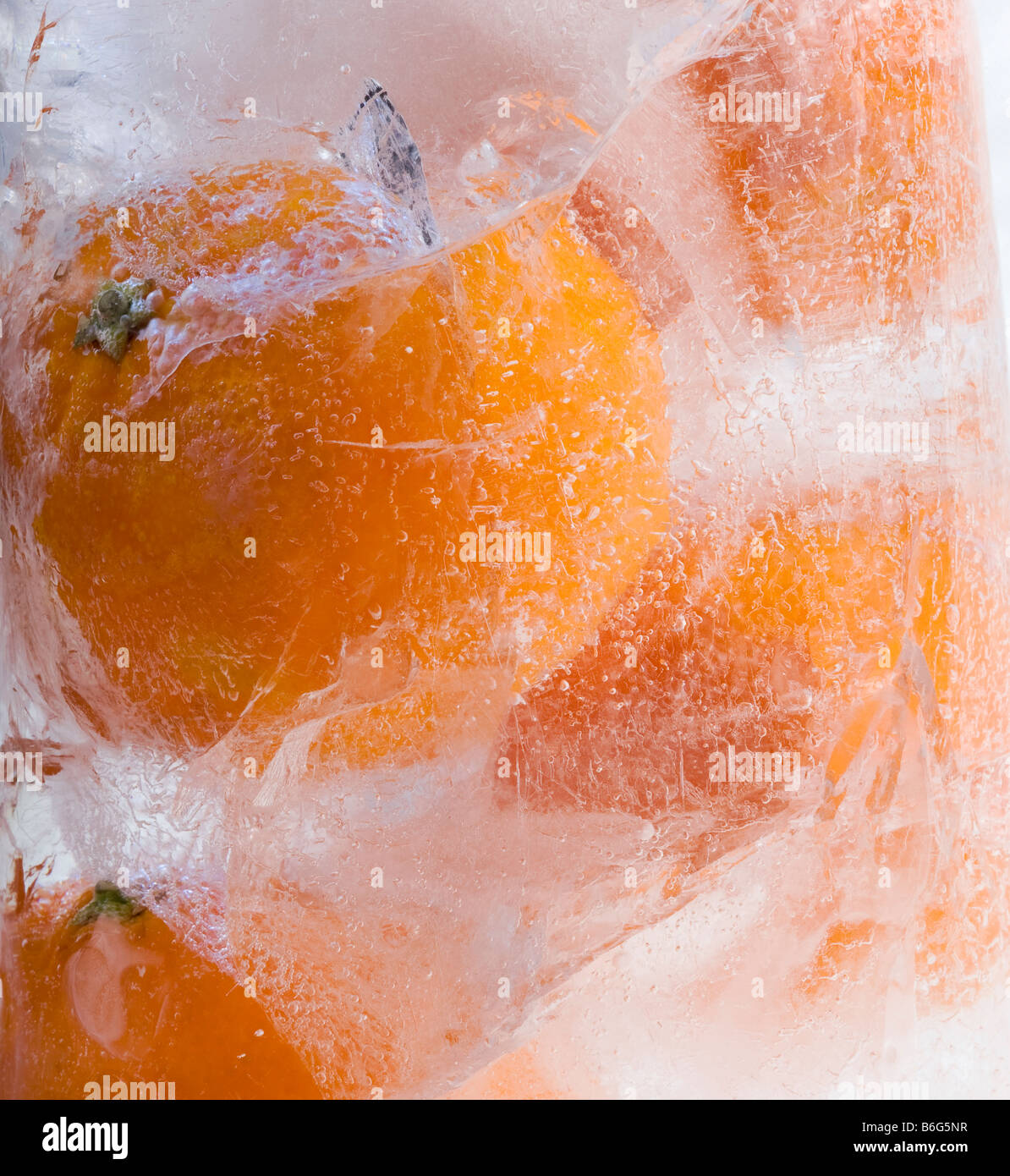 Clementine oranges, frozen in ice Stock Photo