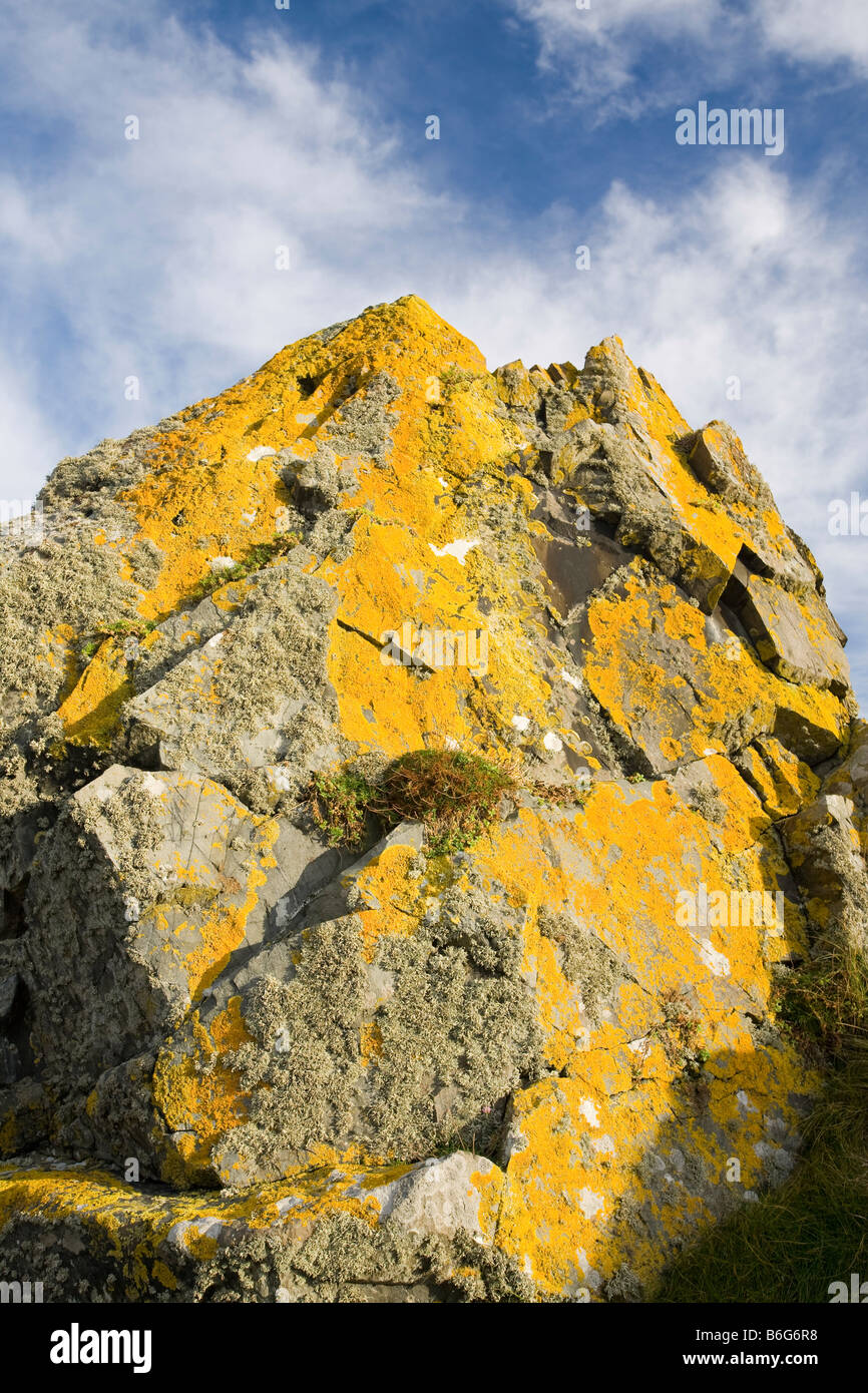 A rock covered in lichen in Portpatrick on the Rhins of Galloway ...