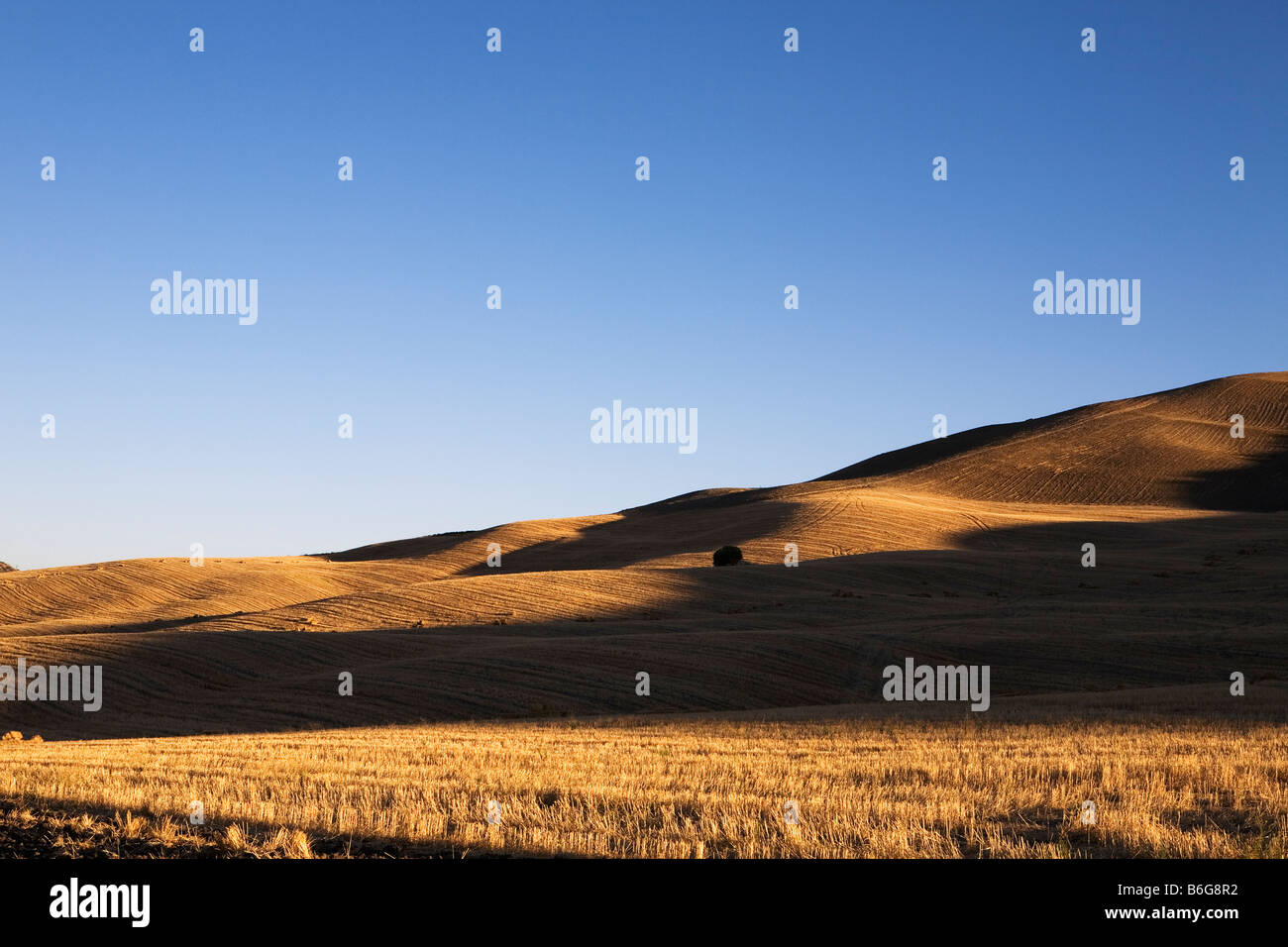 Plains iberia hires stock photography and images Alamy