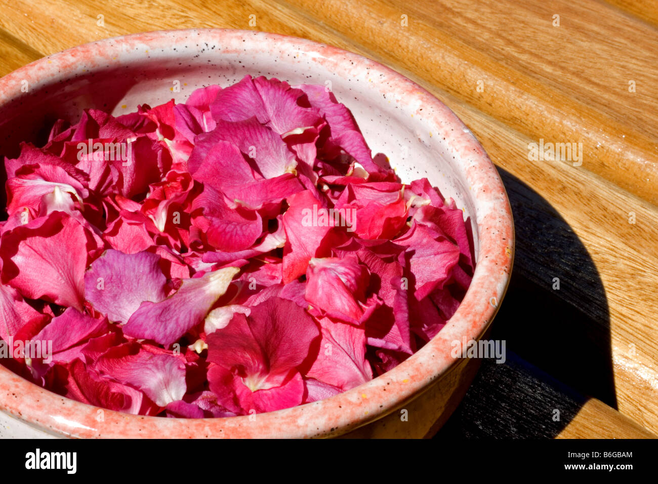 Rose petals Stock Photo