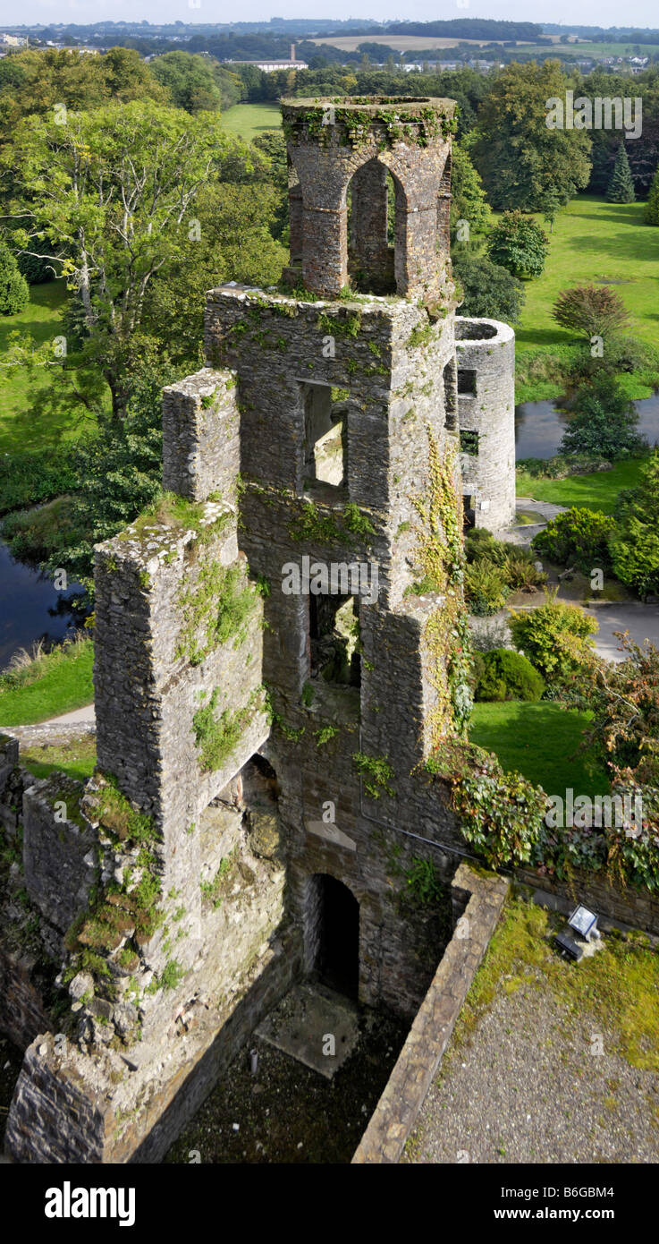 Blarney Castle lookout tower Stock Photo