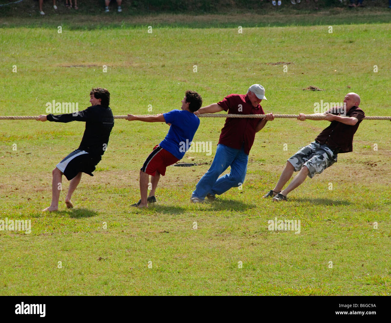 tug of war competition at the Surin Elephant Roundup in Thailand Stock ...