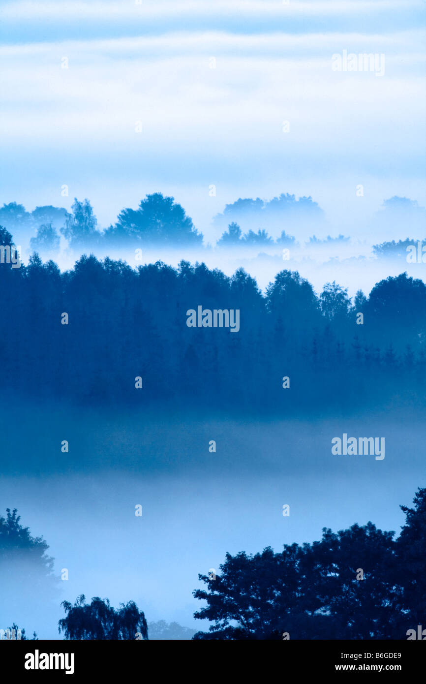 LANDSCAPE IN FOG Stock Photo - Alamy