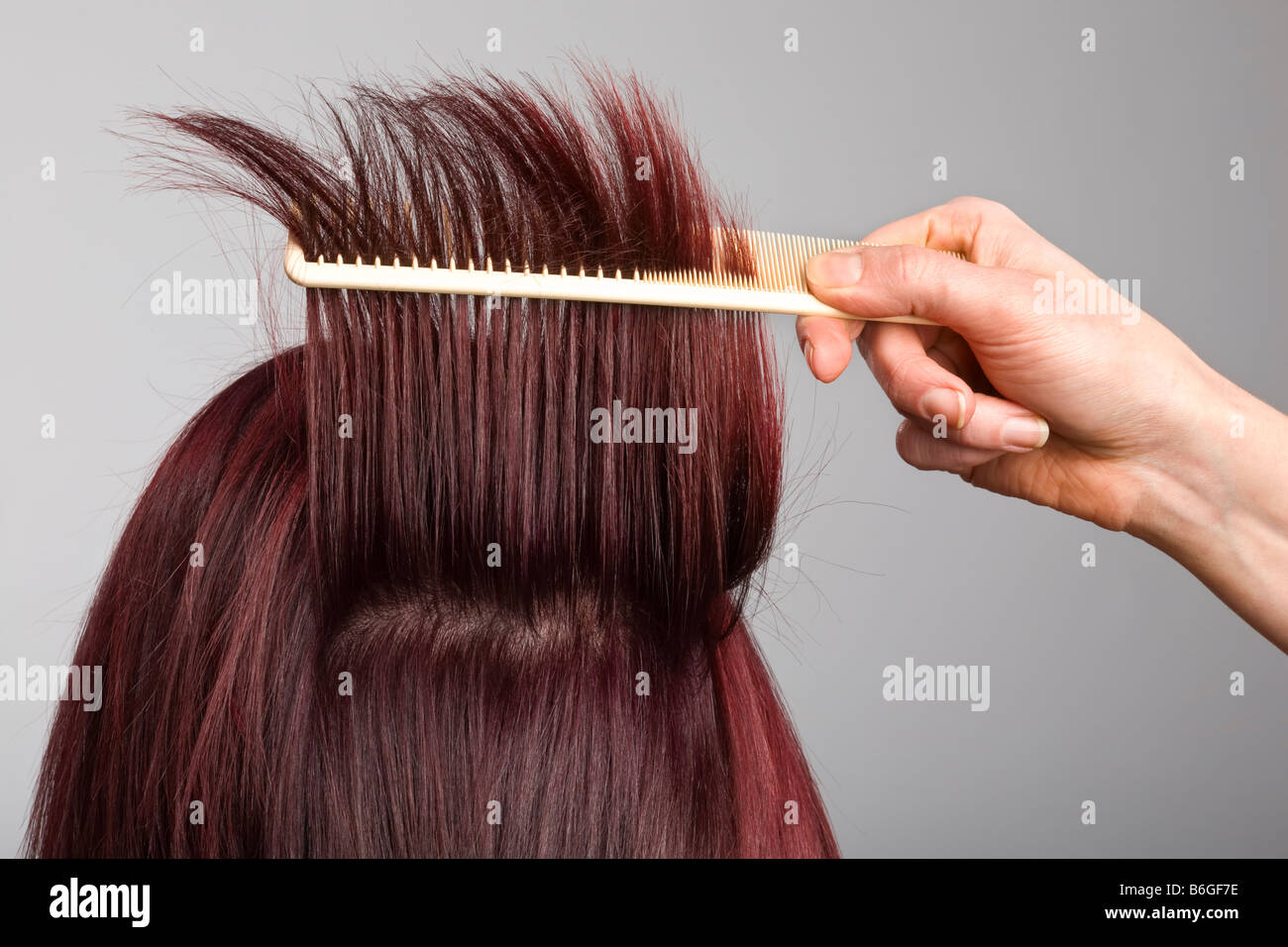 Расчесываем волосы клиенту. Проверить кожу головы. Диагностика кожи головы. Трихоскоп для волос. Компьютерная диагностика волос.