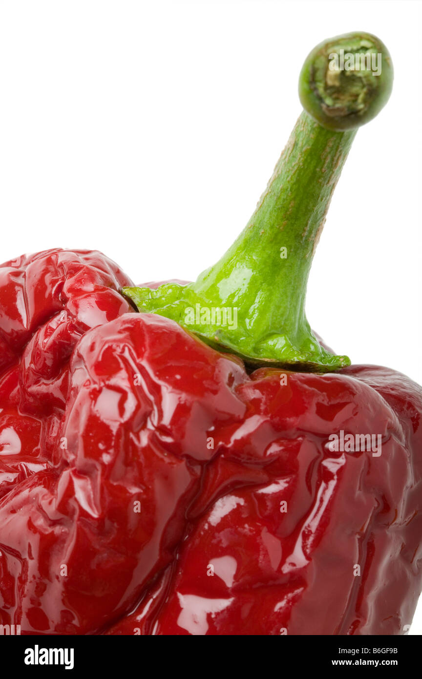 Ancho chile pepper Stock Photo