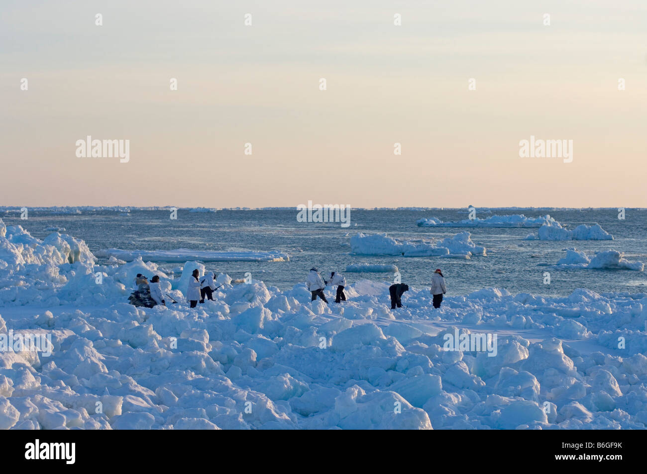 inupiaq whaling crew creates a ramp along the edge of an open lead to ...