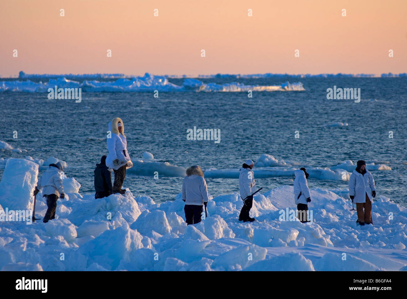 inupiaq whaling crew creates a ramp along the edge of an open lead to ...