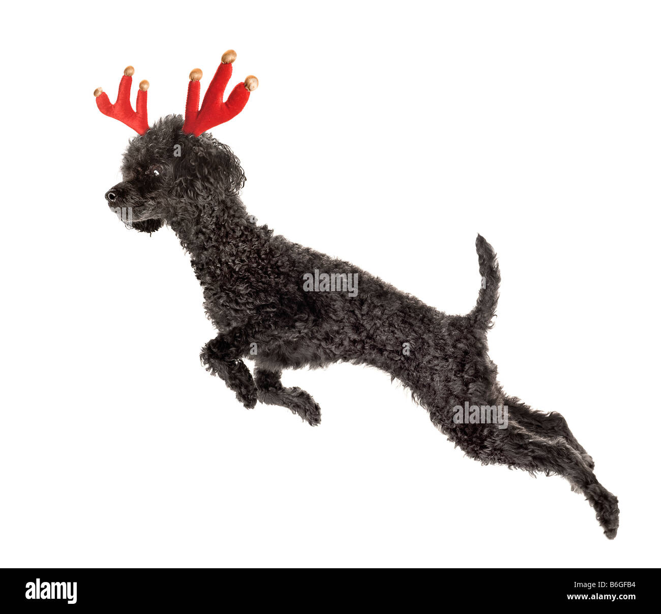 Flying rudolph best sale toy