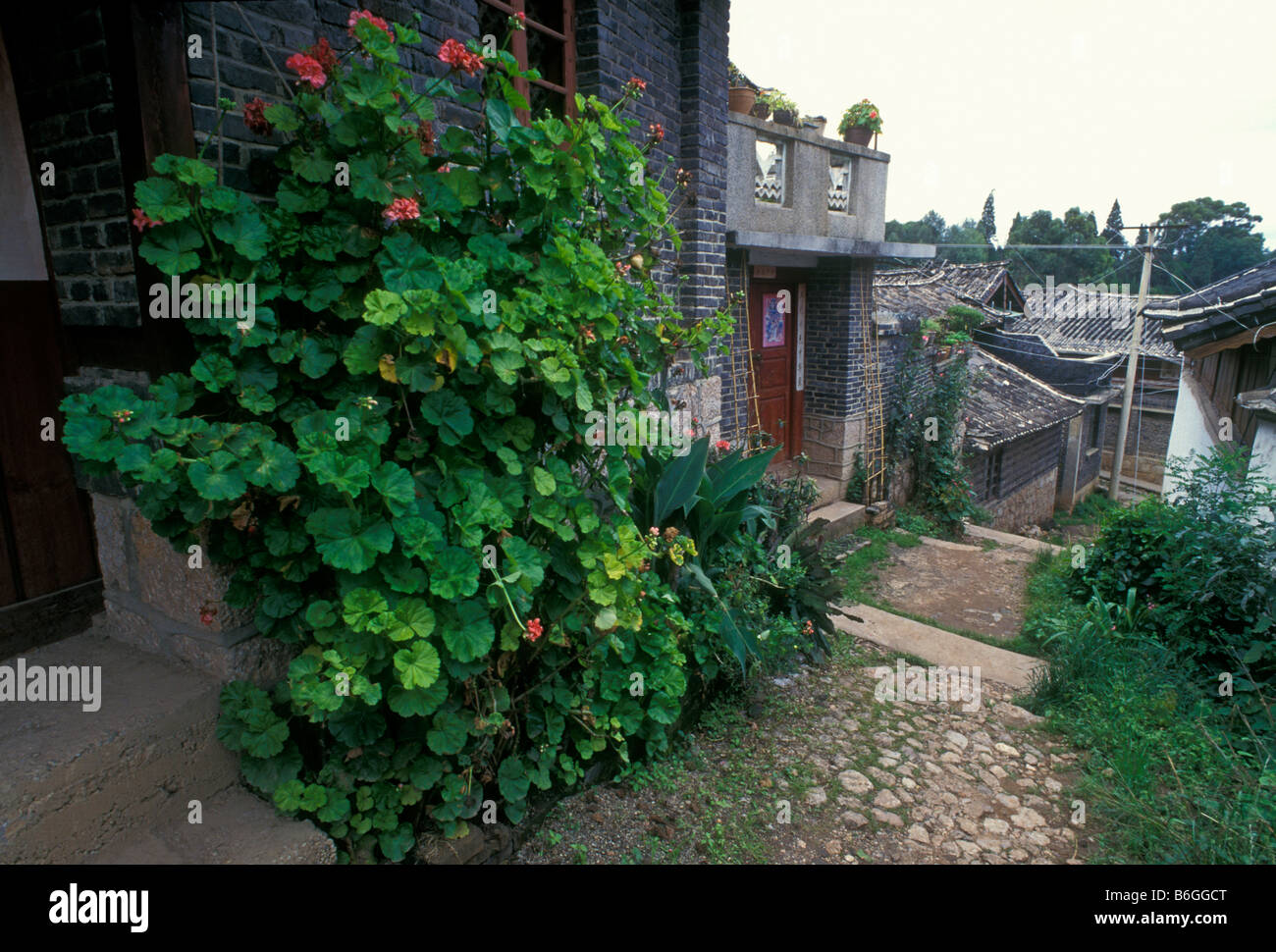 Architecture along street in the Old Town Lijiang Yunnan Province China ...