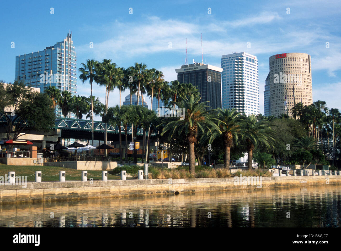 The skyline of downtown Tampa, Florida, U.S.A. rises next to the Hillsborough River. Stock Photo