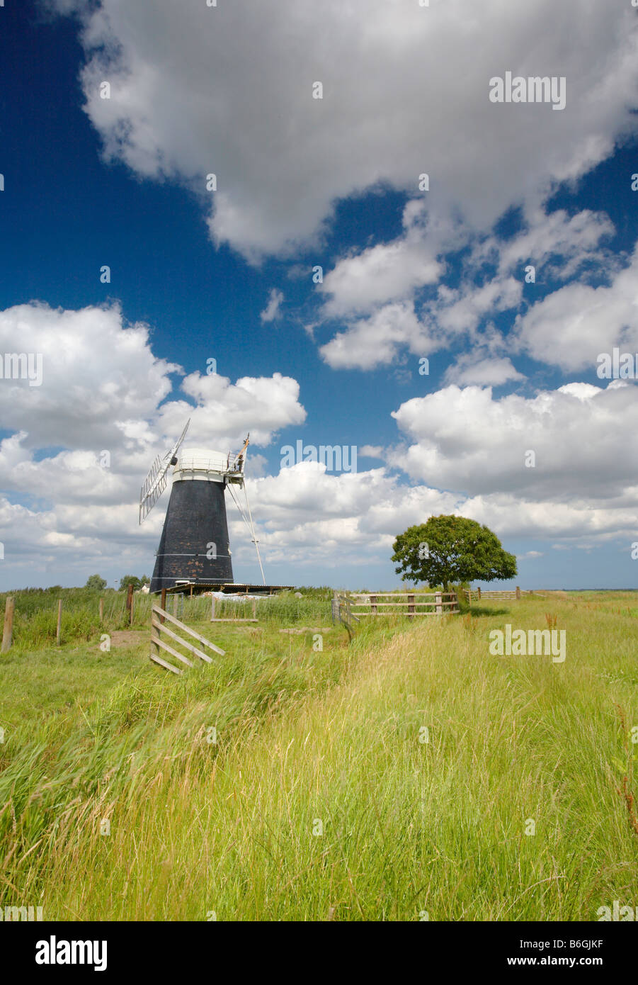 Muttons Drainage Mill, on the Halvergate Marshes, Norfolk Broads Stock Photo