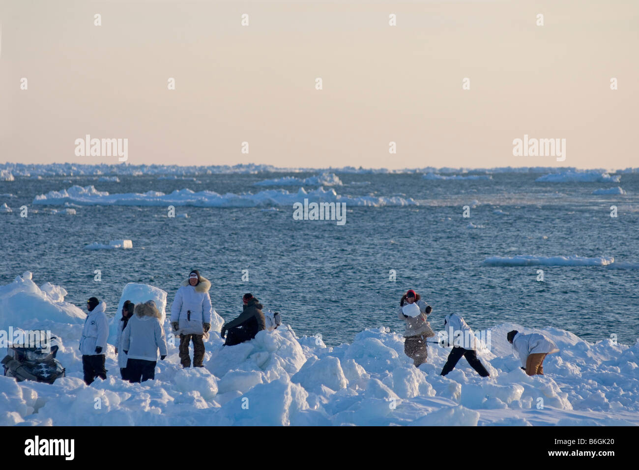 inupiaq whaling crew creates a ramp along the edge of an open lead to ...
