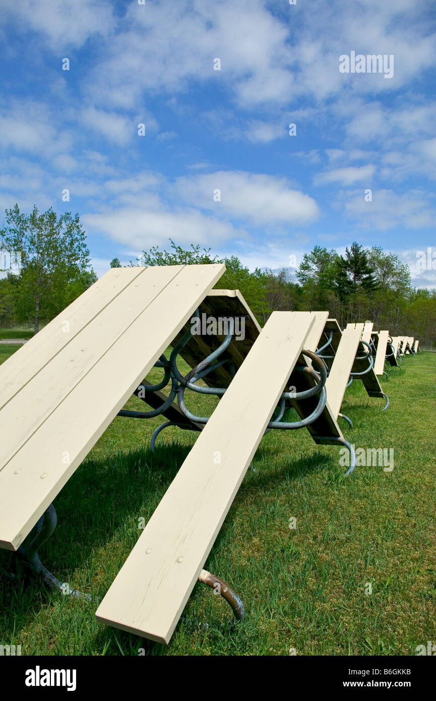Picnic tables lined up in a state park Stock Photo Alamy