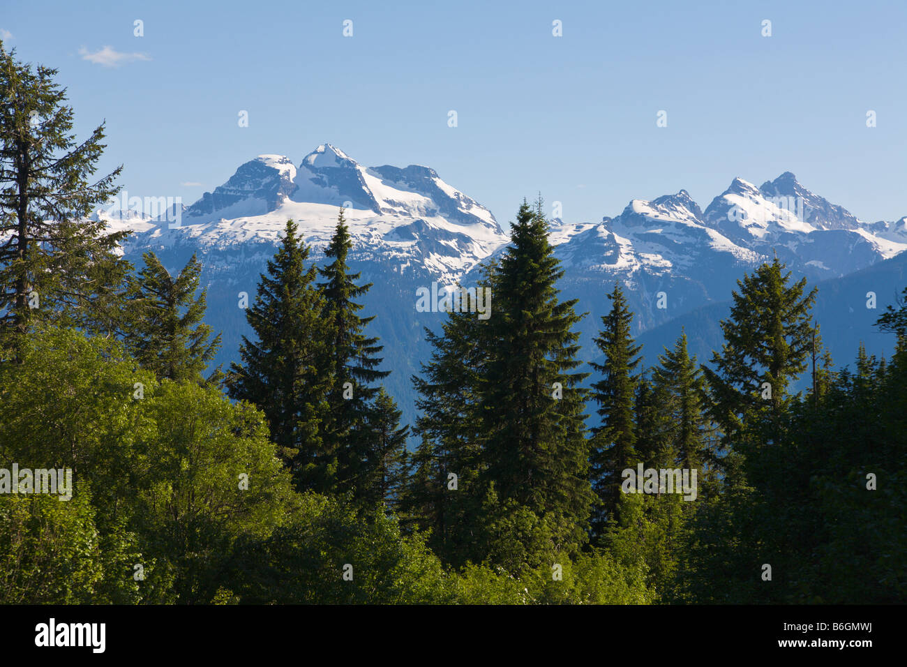 Mount Revelstoke 'National Park' 'British Columbia' Canada Stock Photo