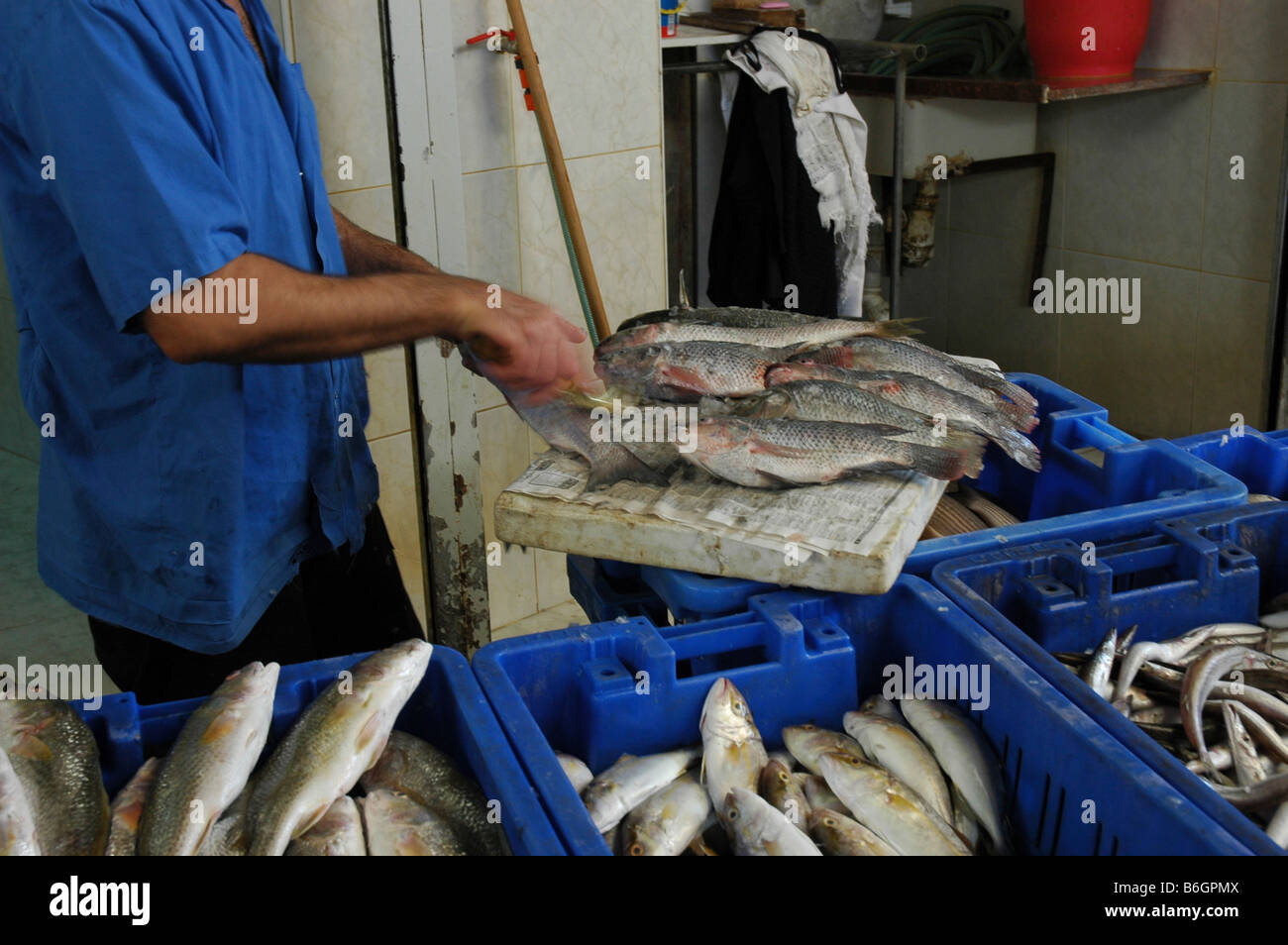 cleaning fish at a fish market Stock Photo - Alamy