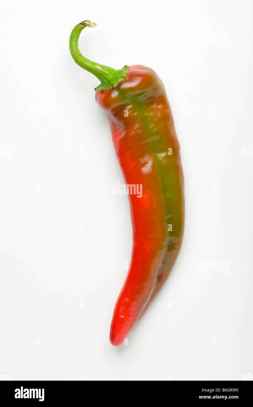 Guajillo chili pepper Stock Photo Alamy
