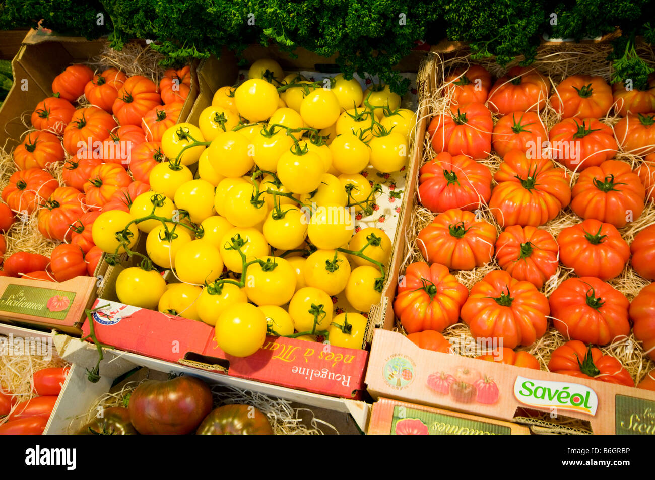 Unusual tomatos in French Supermarket Stock Photo