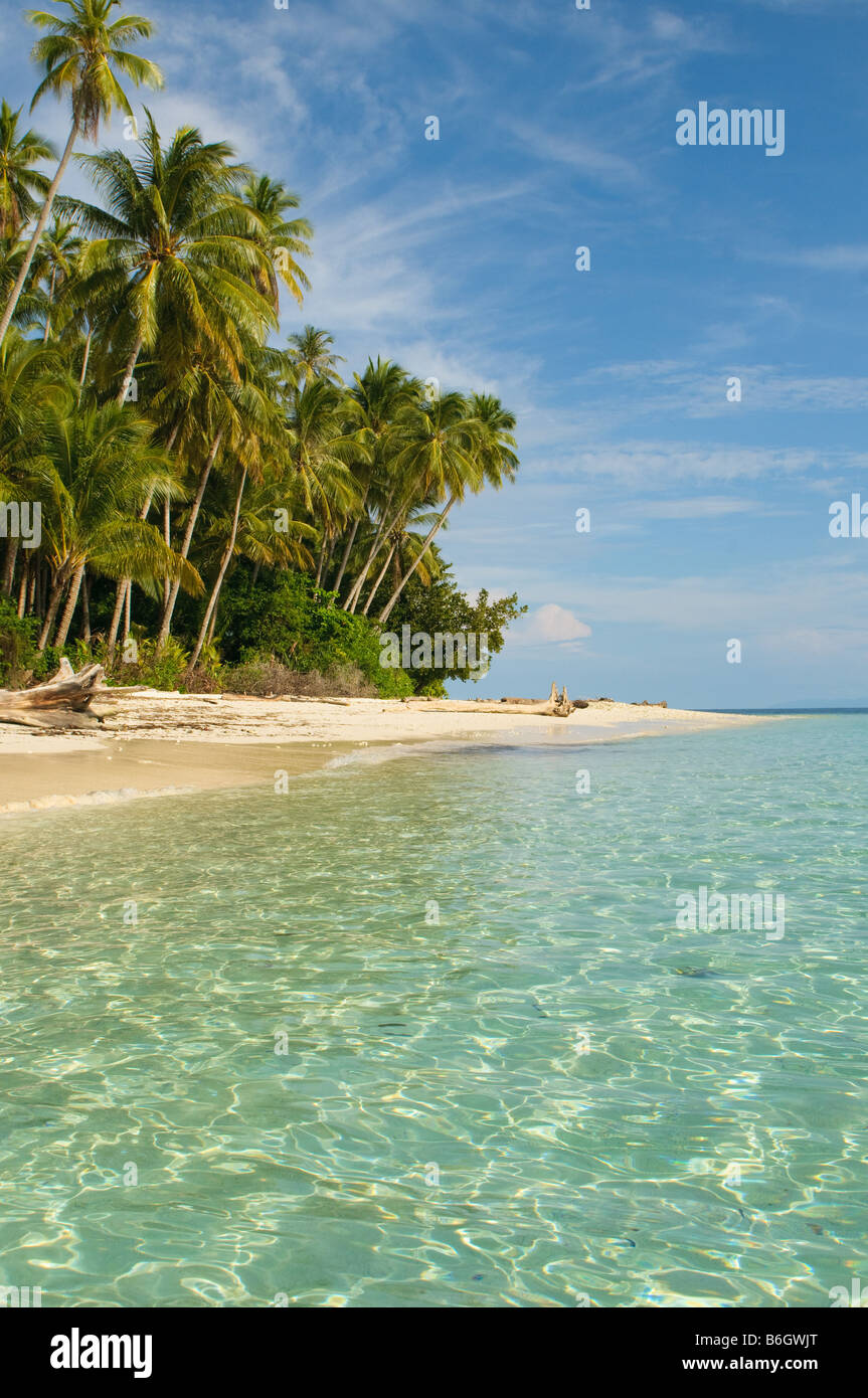 tropical island sea sky and palm trees Stock Photo - Alamy