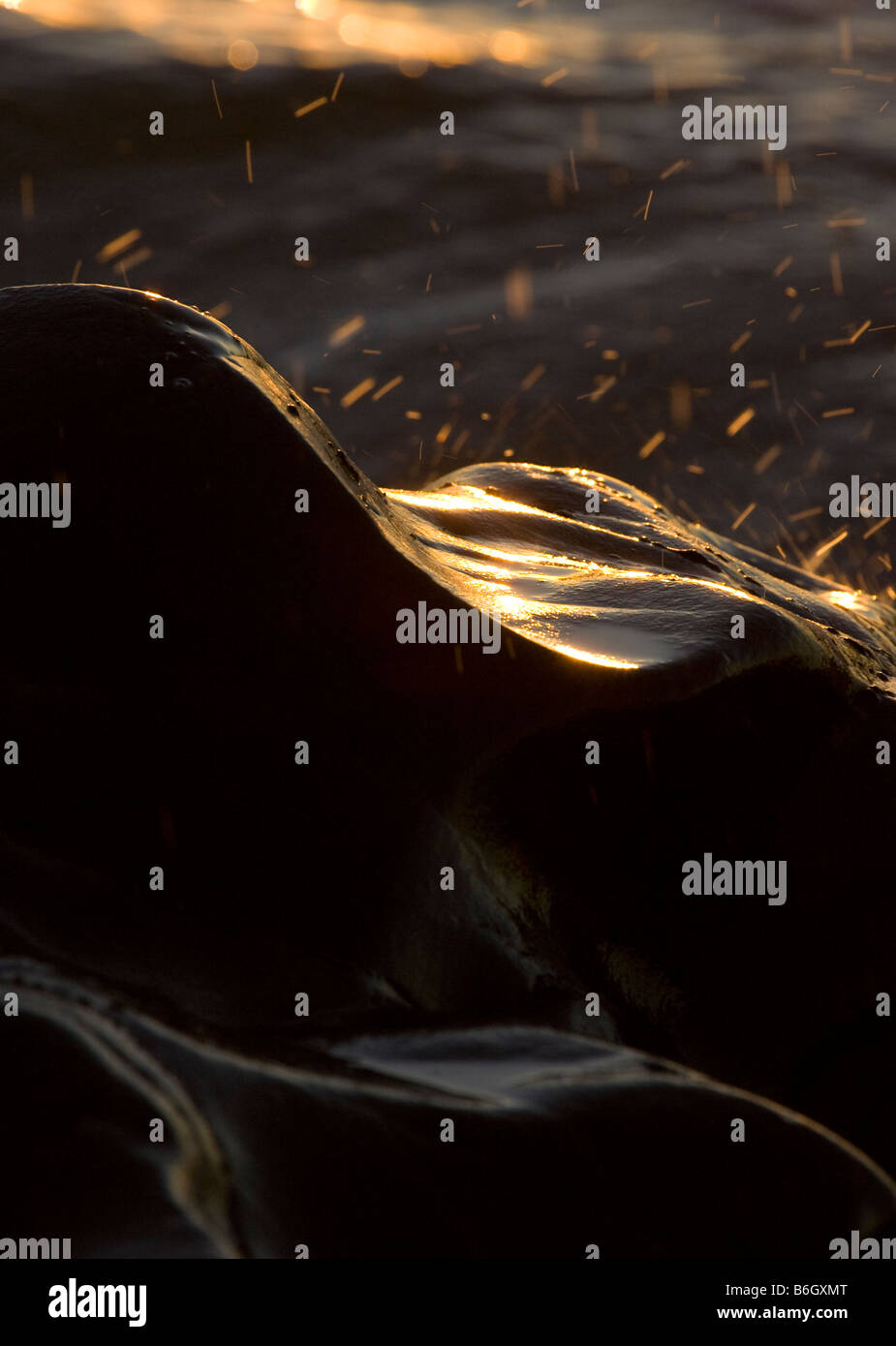 Wave Hitting a Smooth Rock Sun glistening Stock Photo - Alamy