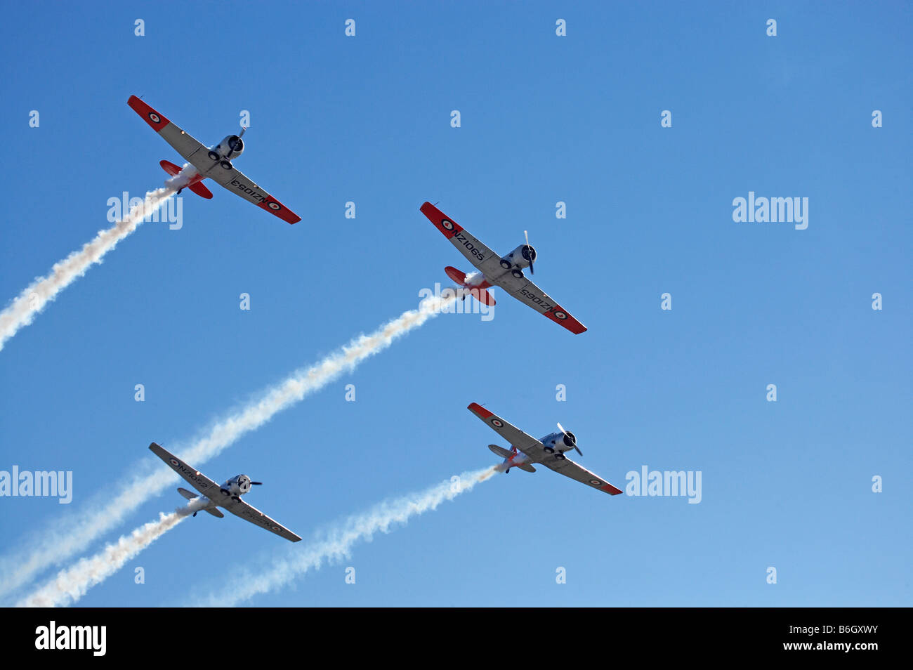 North American Harvards or T 6 Texans or SNJs Stock Photo