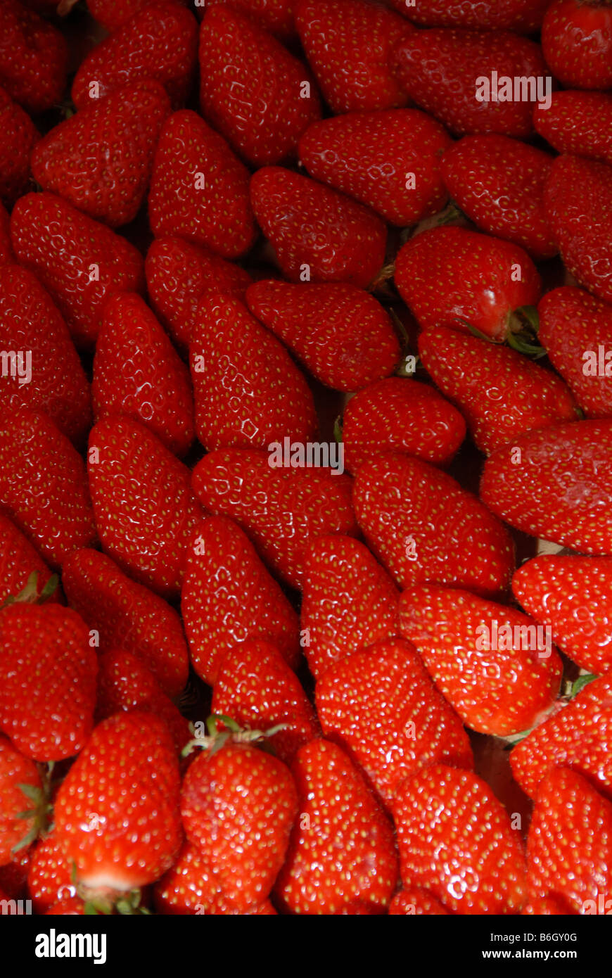 French strawberries market hi-res stock photography and images - Alamy