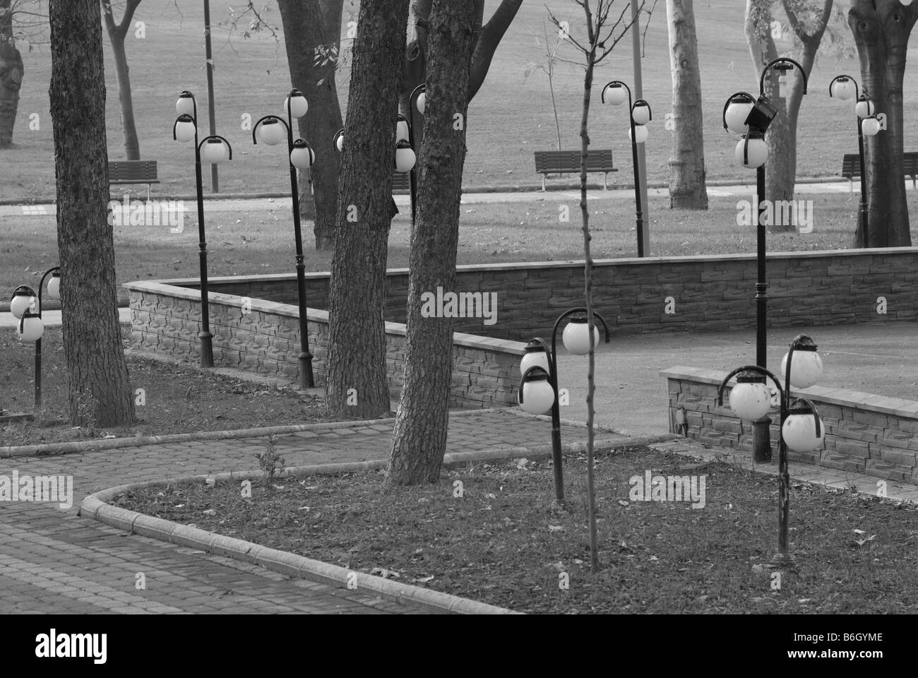 Trees and park benches Black and White Stock Photos & Images - Alamy