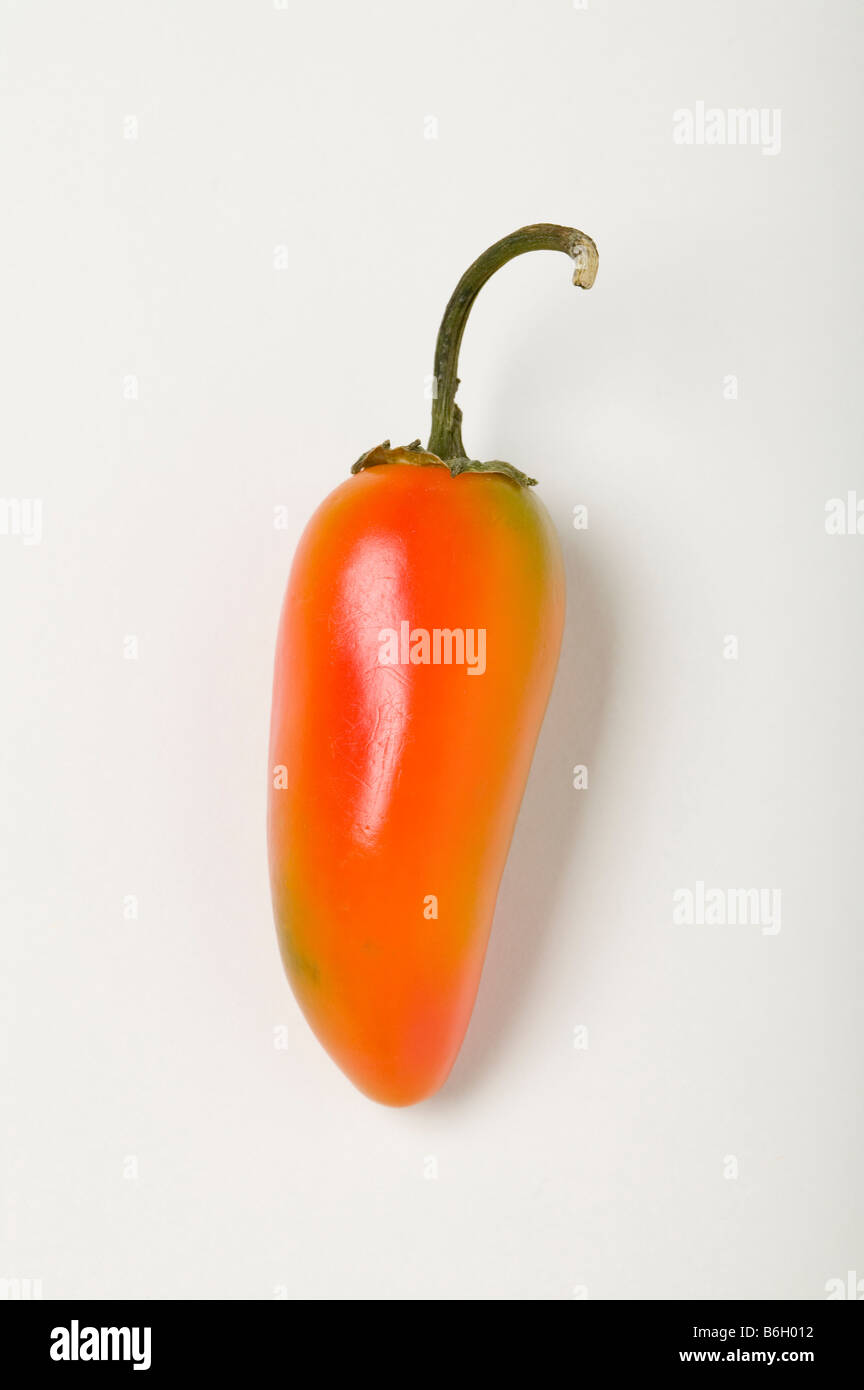 Unique colored Jalapeno chili pepper Stock Photo