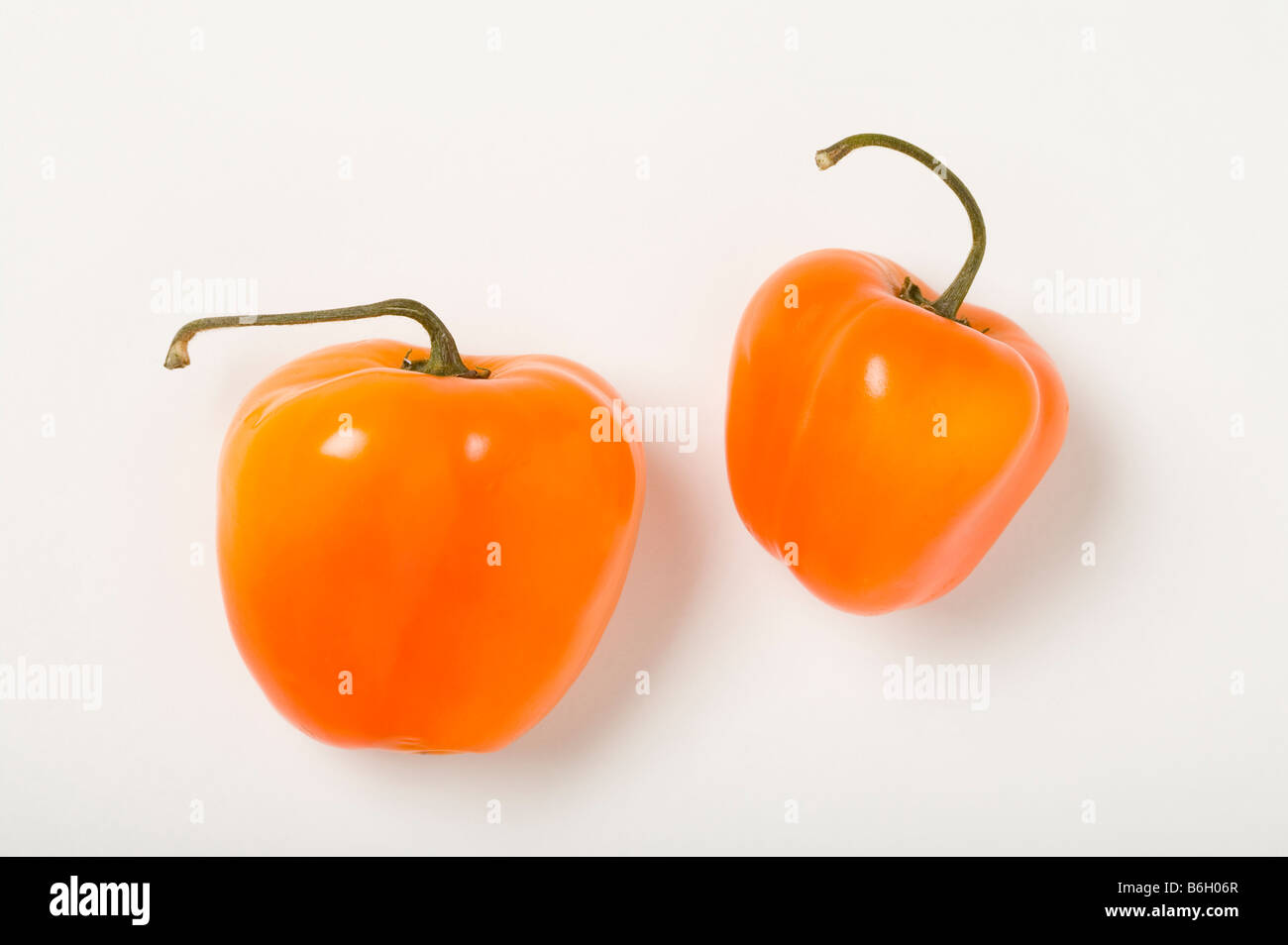 Manzanos arizona hires stock photography and images Alamy