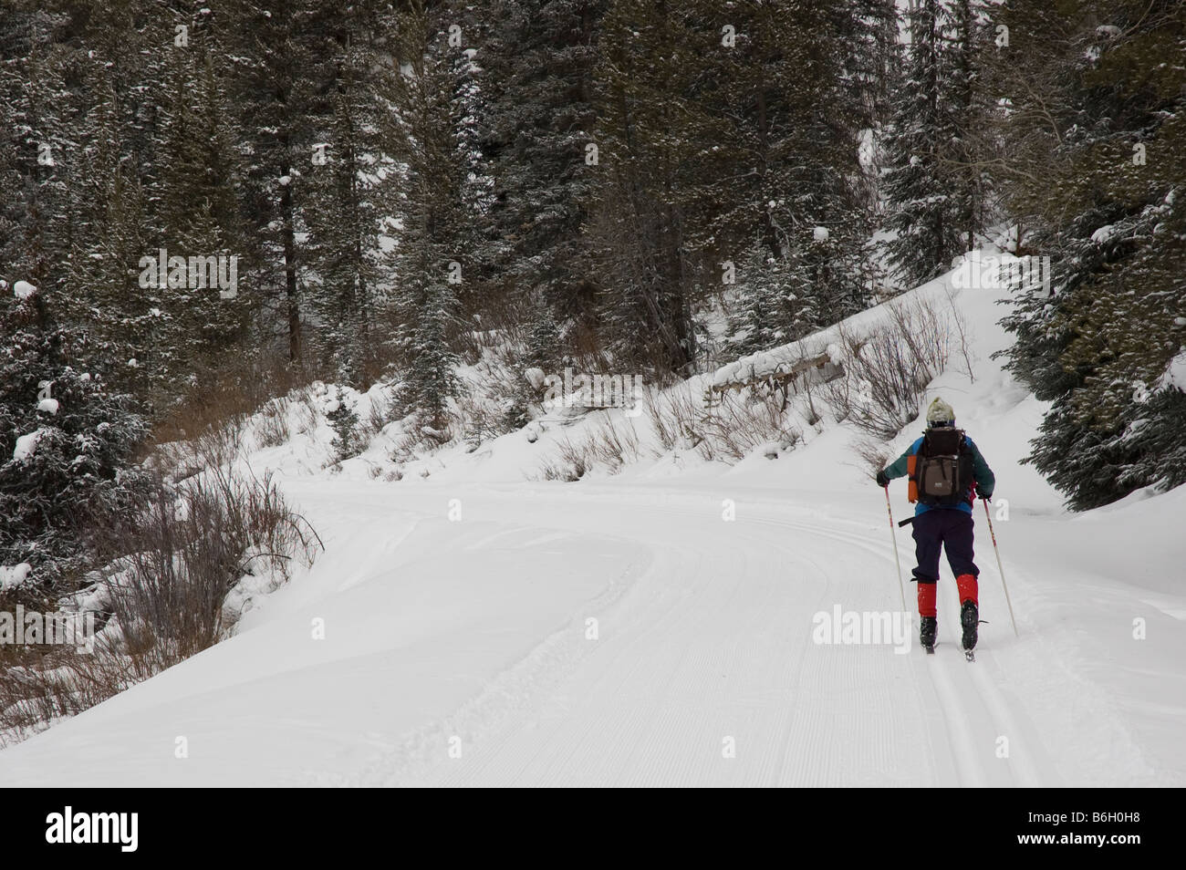 Xc trail hires stock photography and images Alamy
