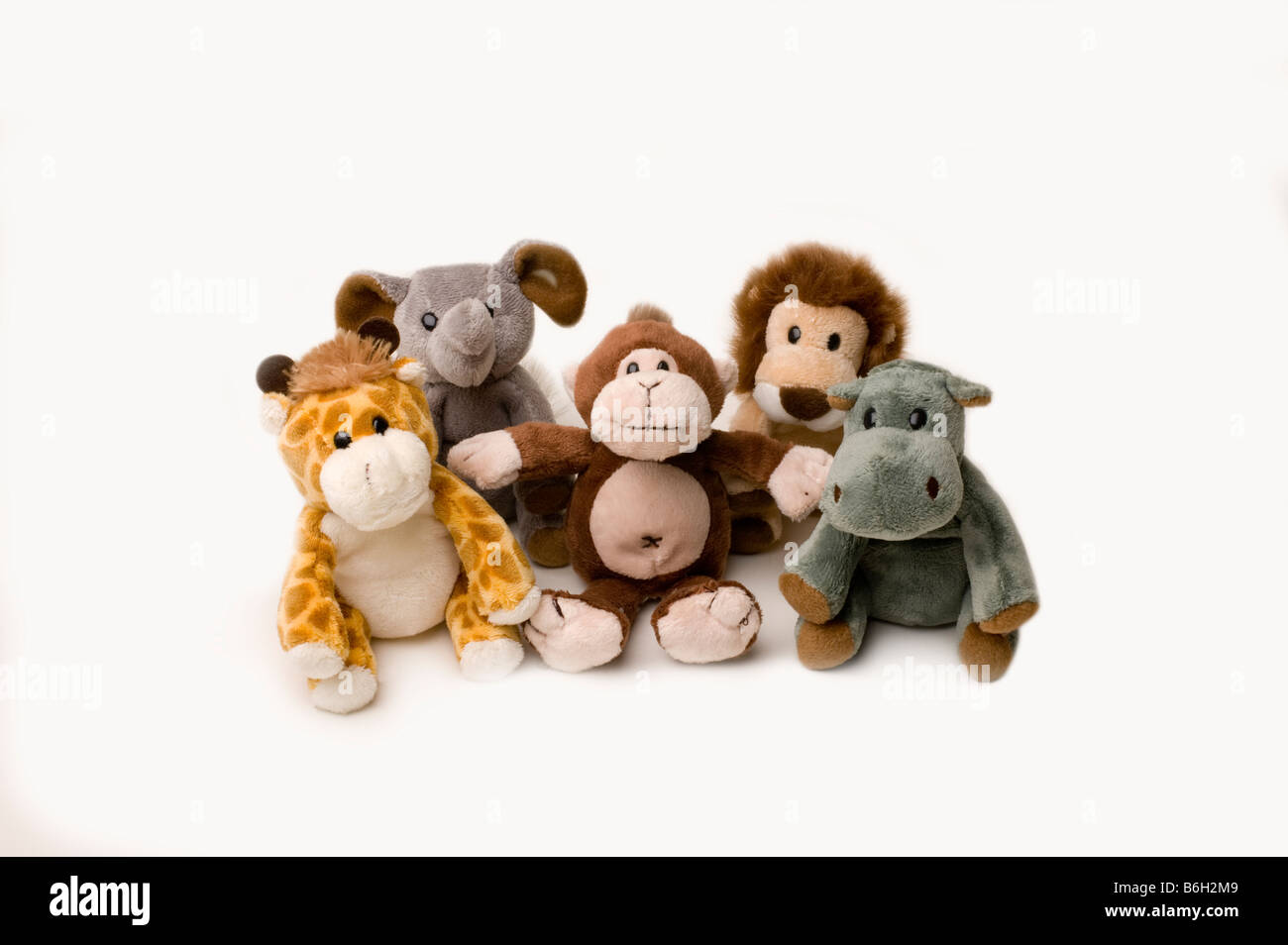 Five Children's soft toys on a white background (Not Cut Out Stock