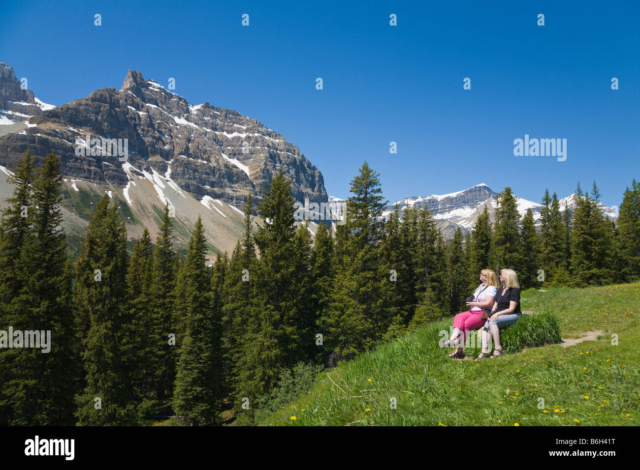 Crowfoot Glacier Icefields Parkway Alberta Canada Stock Photo