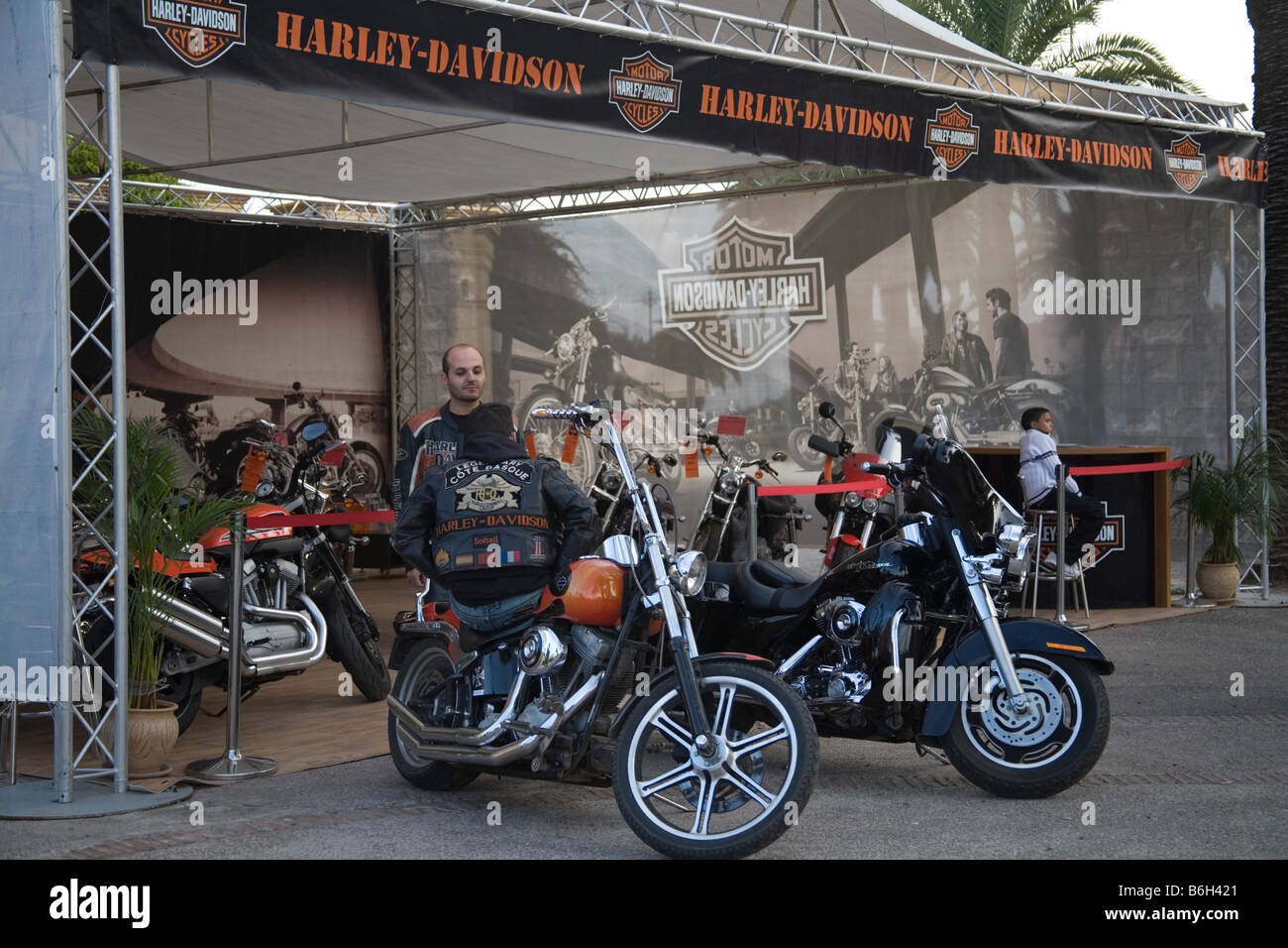 harley davidson motorized bicycle for sale