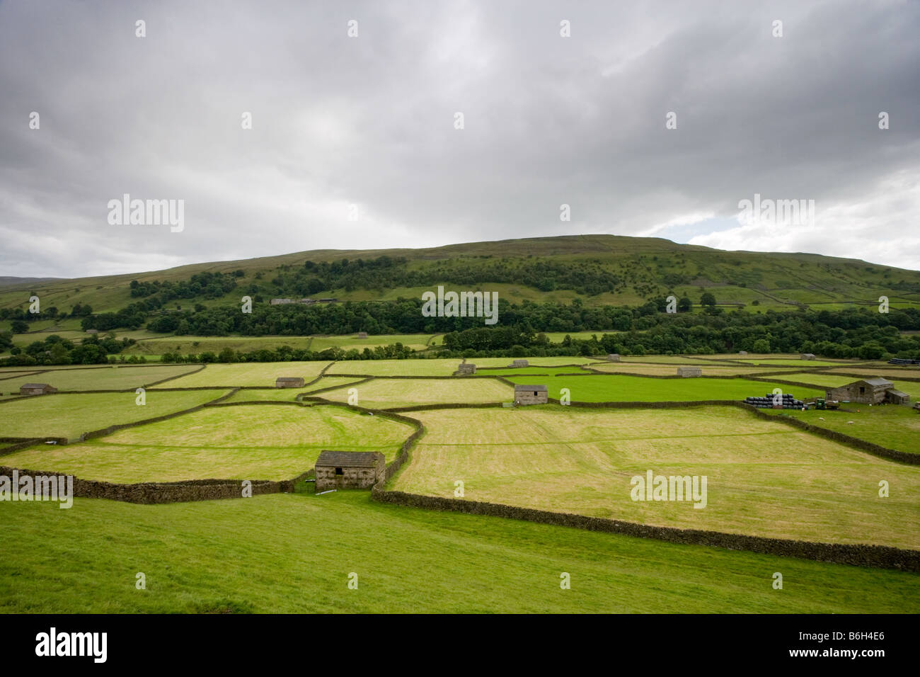 A Yorkshire Dales hill looks down onto a patchwork of fields and connecting barns. Stock Photo