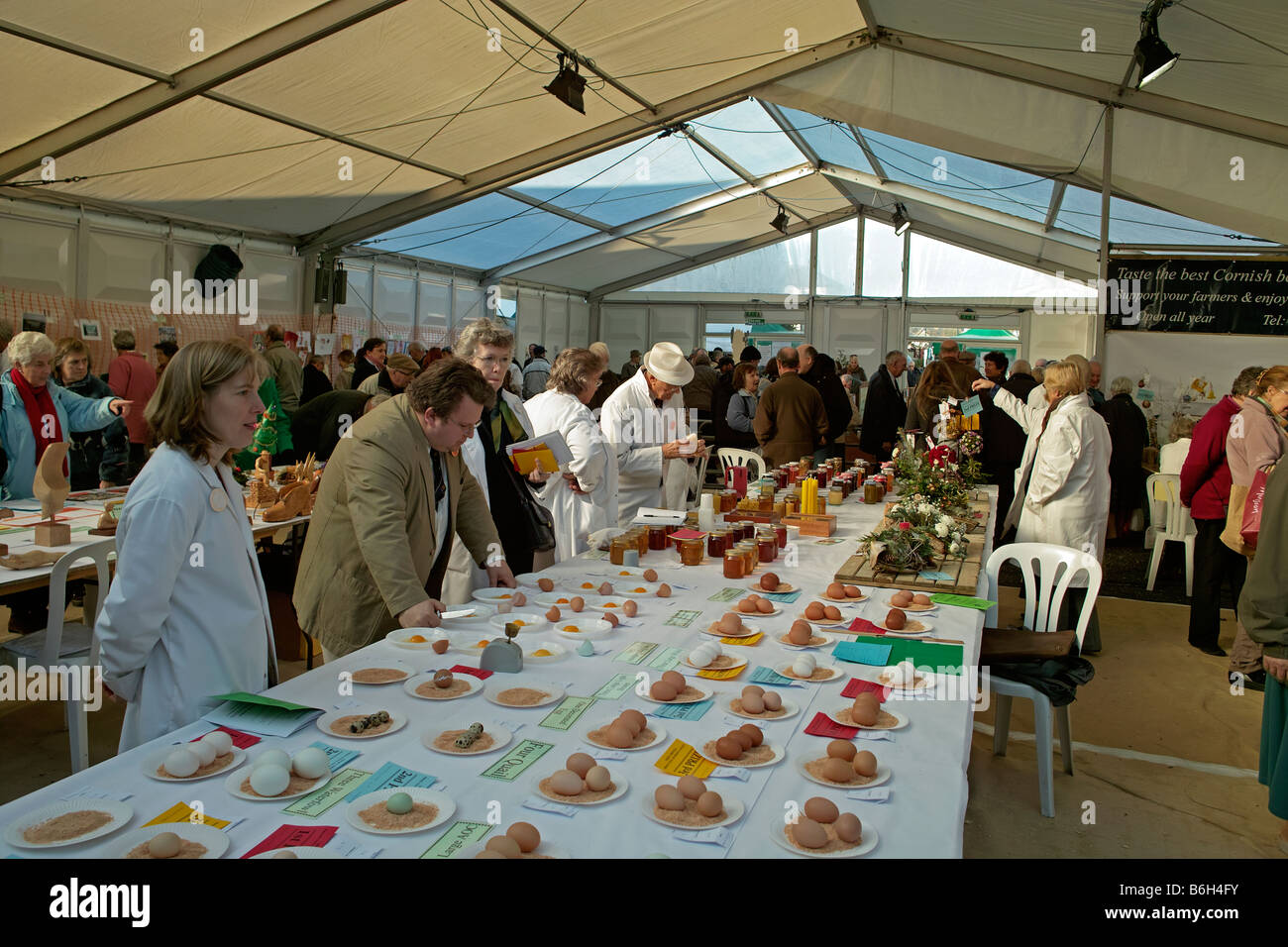 judging taking place at a country fair in truro,cornwall,uk Stock Photo