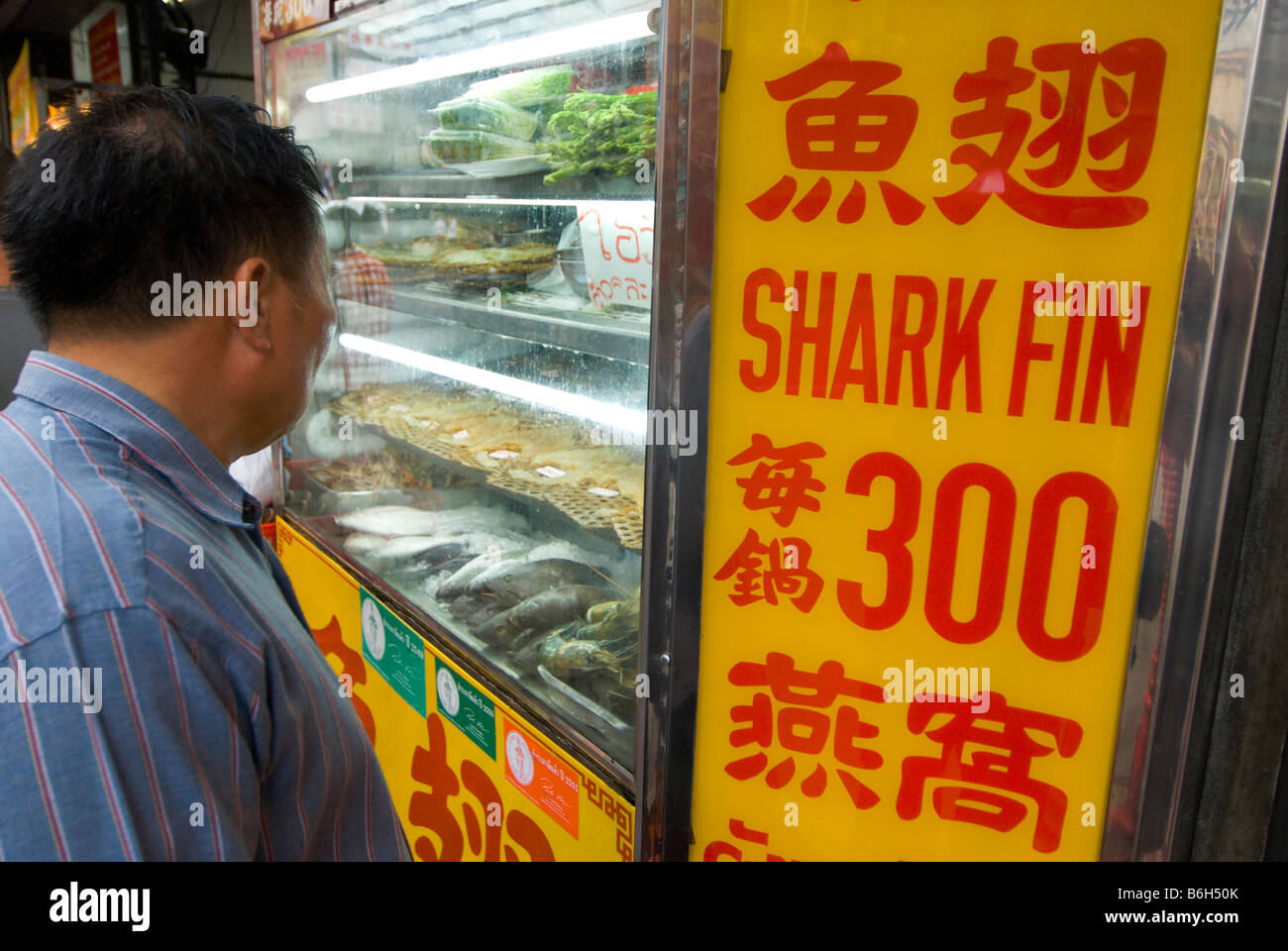 Customer looking at window display of Chinese shark fin soup restaurant in Chinatown central Bangkok Thailand Stock Photo