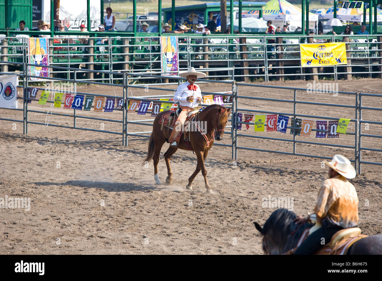 Mexican cowboy riding horse at rodeo Stock Photo - Alamy