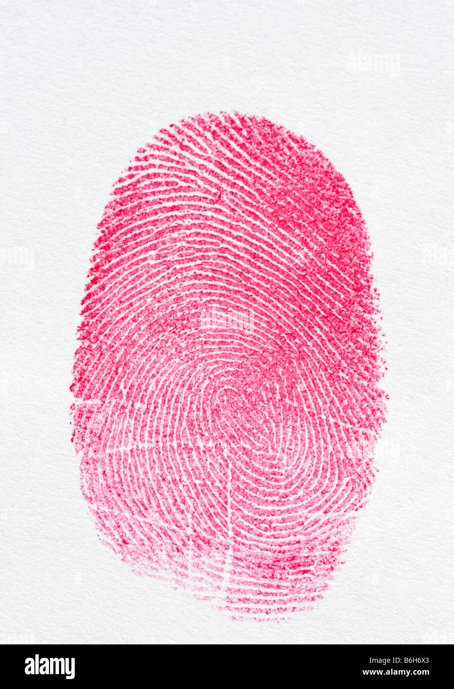 Fingerprint in red with a white background Stock Photo