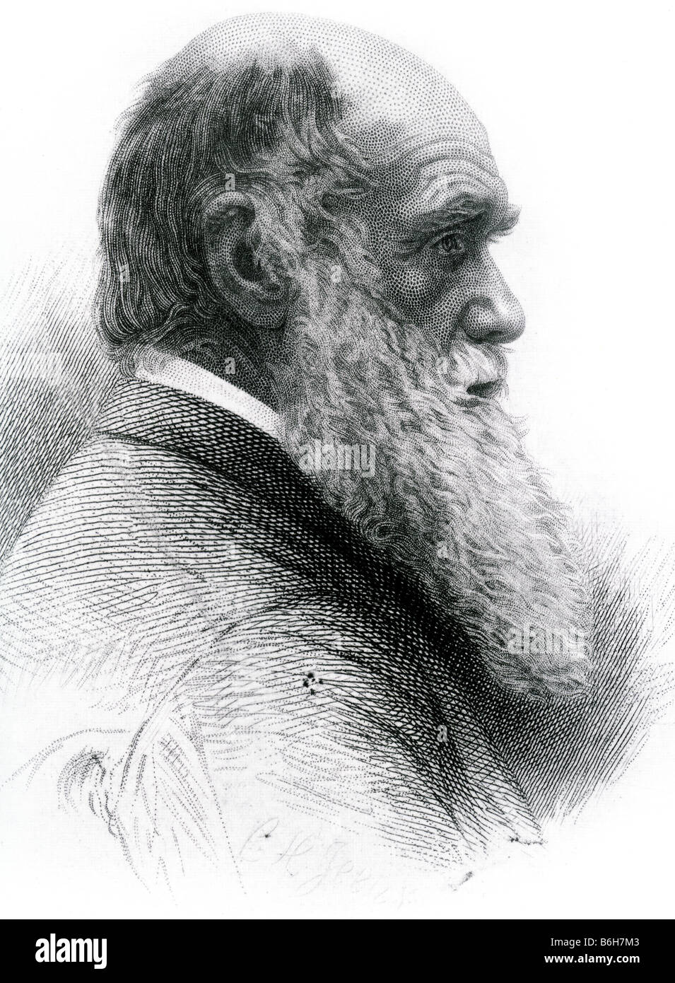 CHARLES DARWIN about 1870 engraving by C H Jeens Stock Photo
