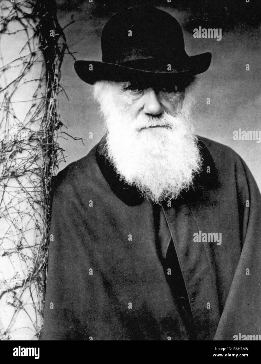 CHARLES DARWIN aged 72 photographed by Julia Margaret Cameron in 1881 Stock Photo