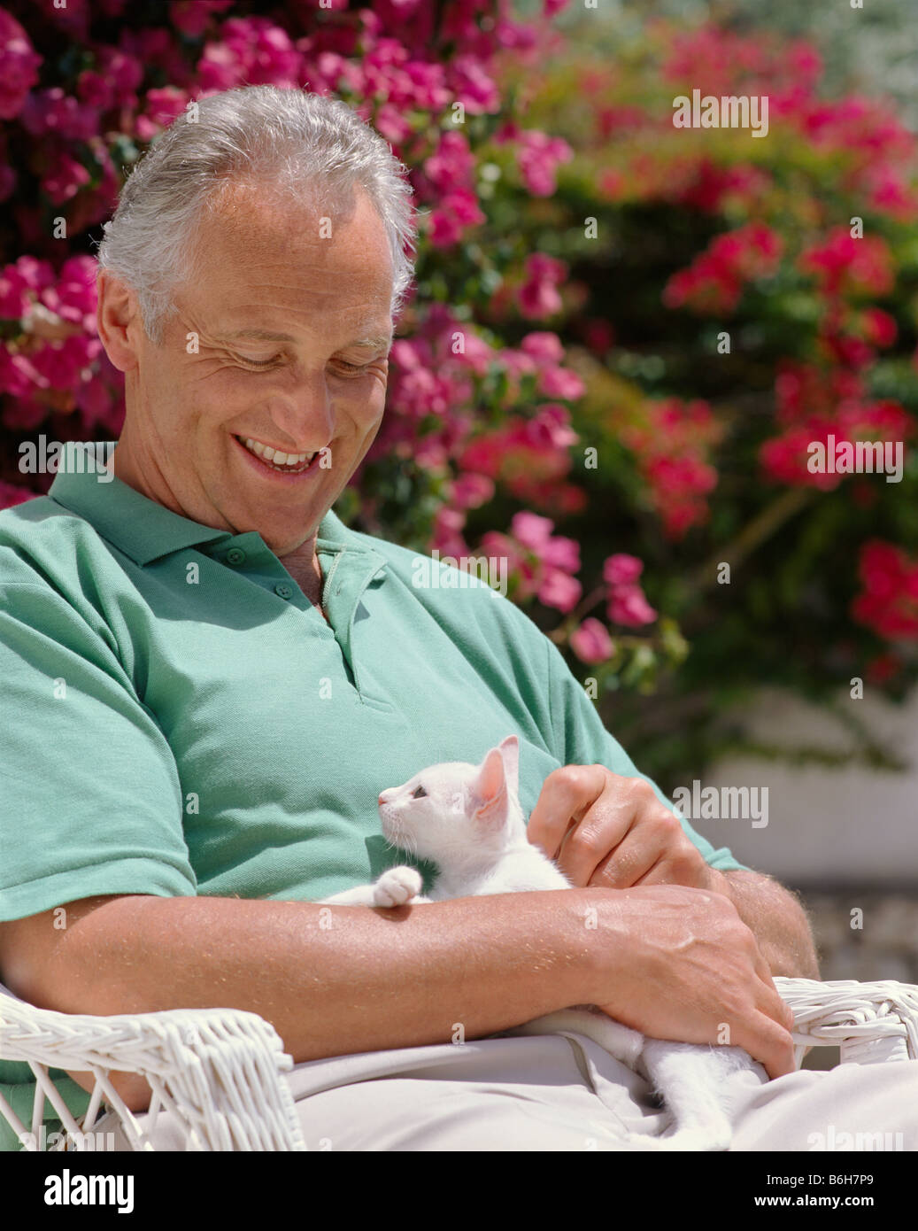 Retired man relaxing kitten hi-res stock photography and images - Alamy