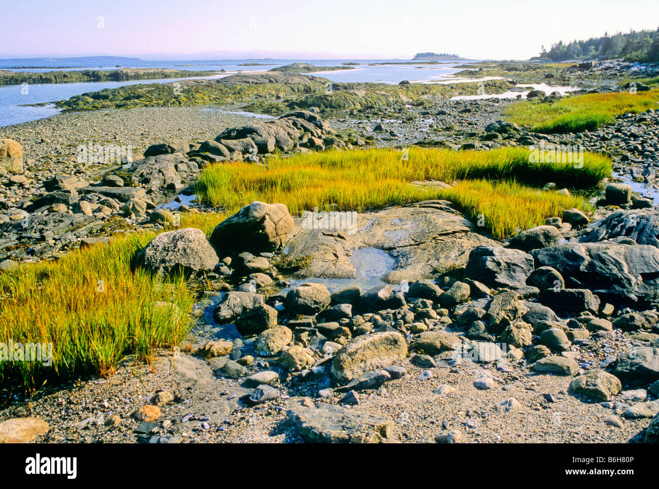 Low tide on Great Wass Island Maine Stock Photo