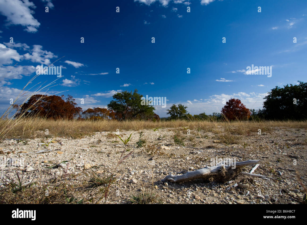 Desert scene in texas hill country on a bright blue day stock photo alamy