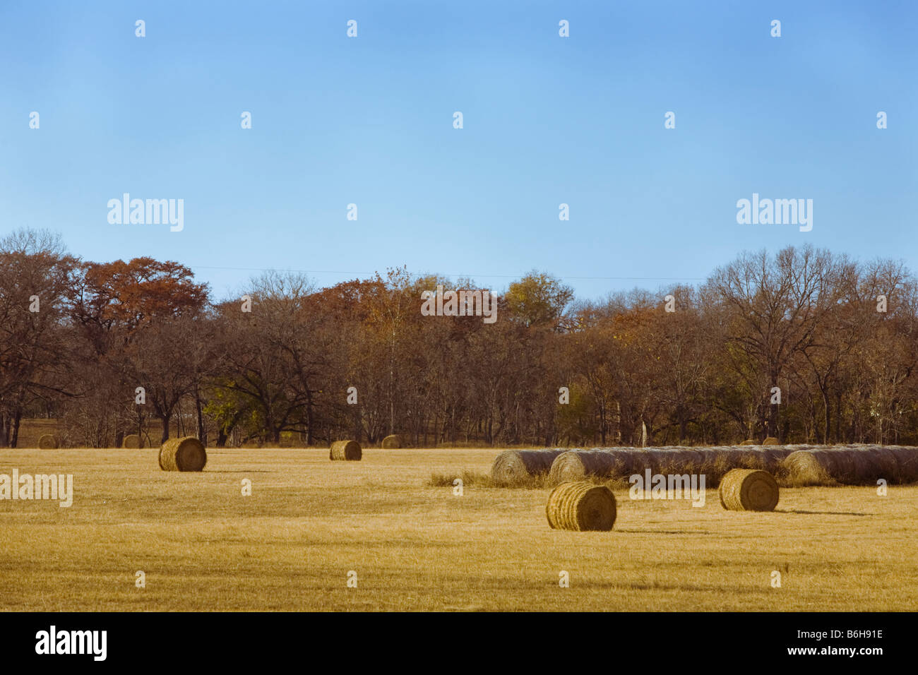 Hay bales on a fall day in the Texas Hill Country Stock Photo