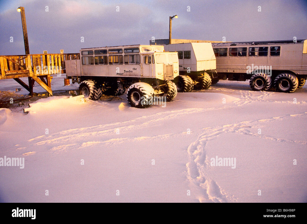 Tundra buggies hi-res stock photography and images - Alamy
