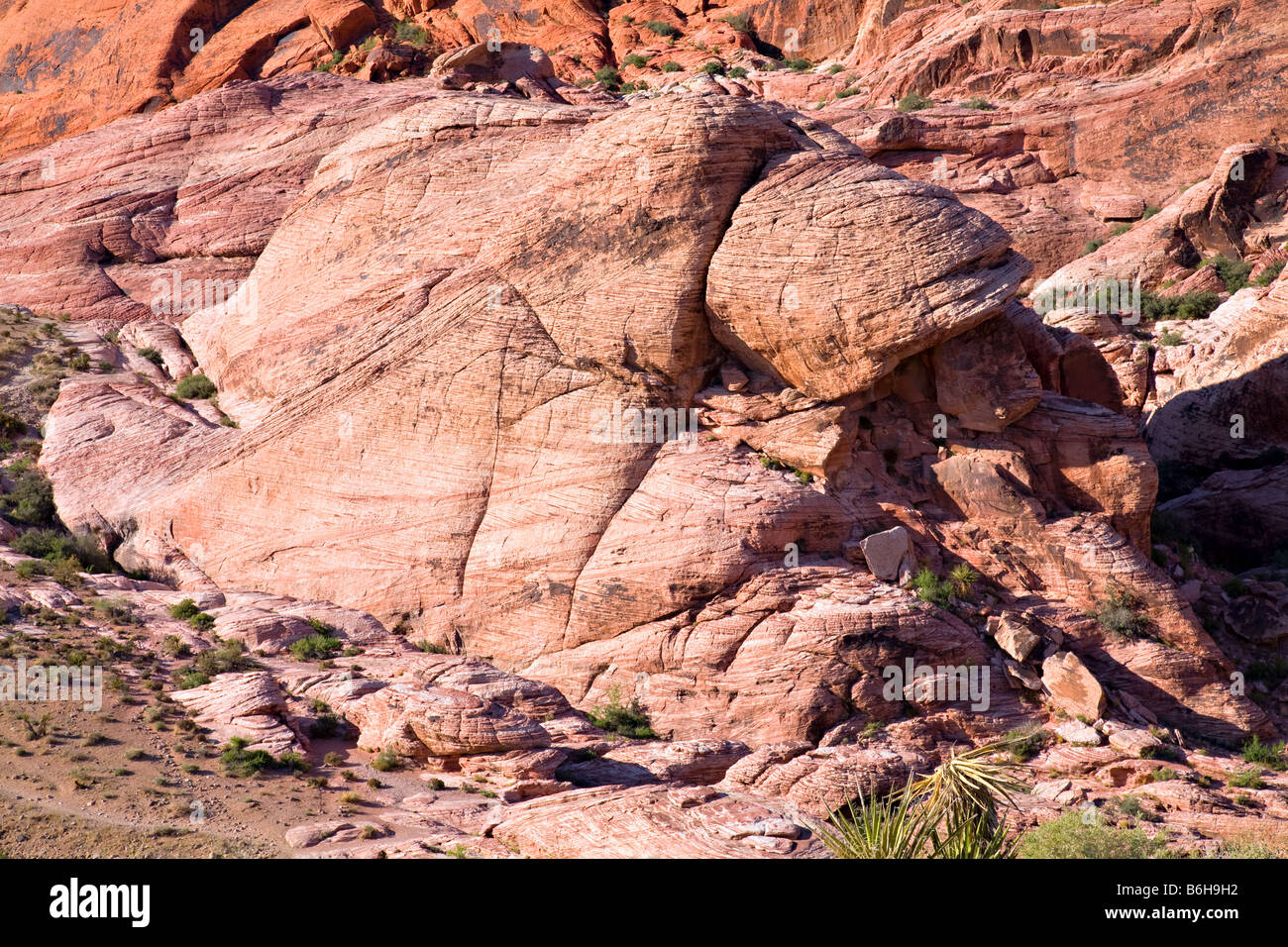 Red stone canyon hi-res stock photography and images - Alamy